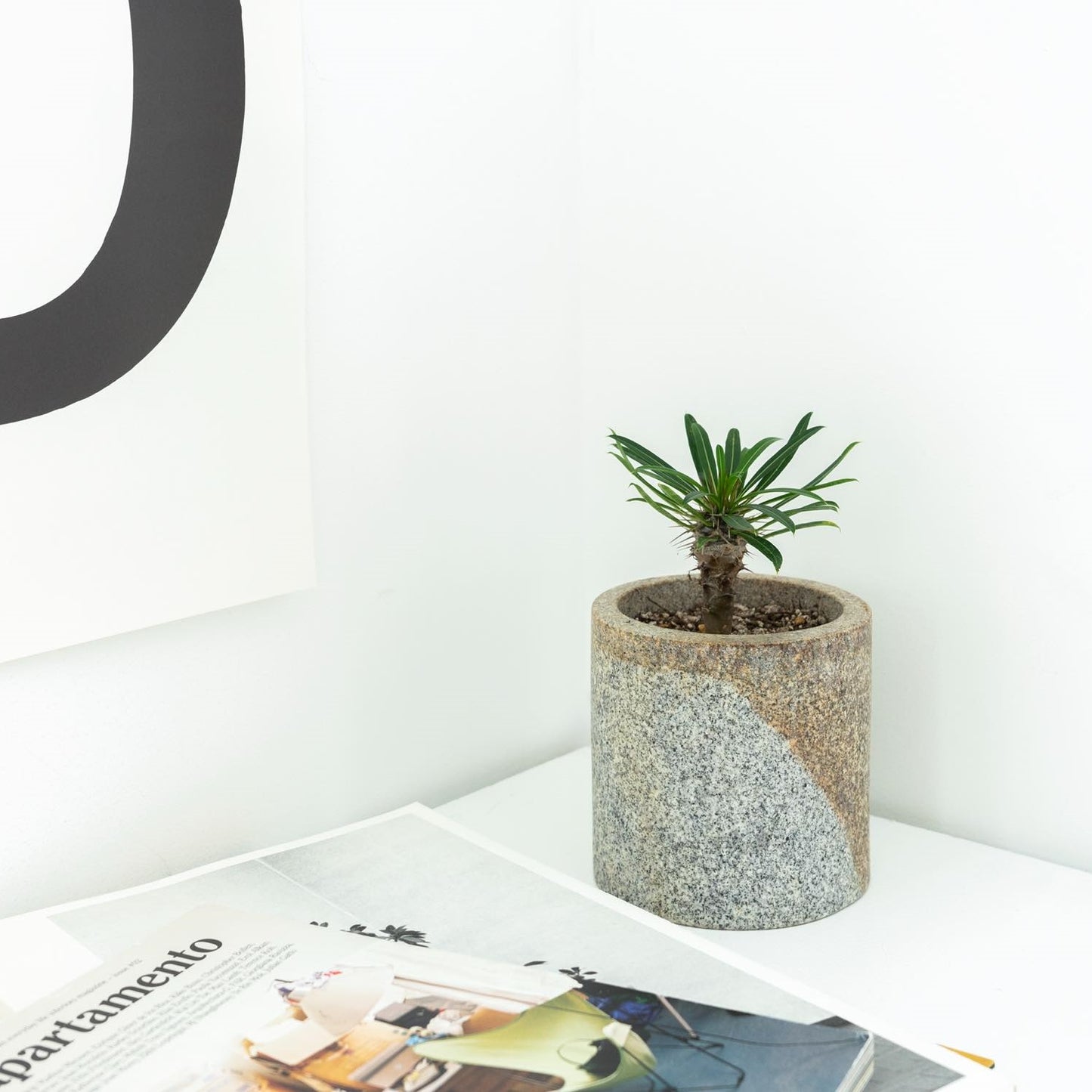 CS-STAND / 110S / sabi