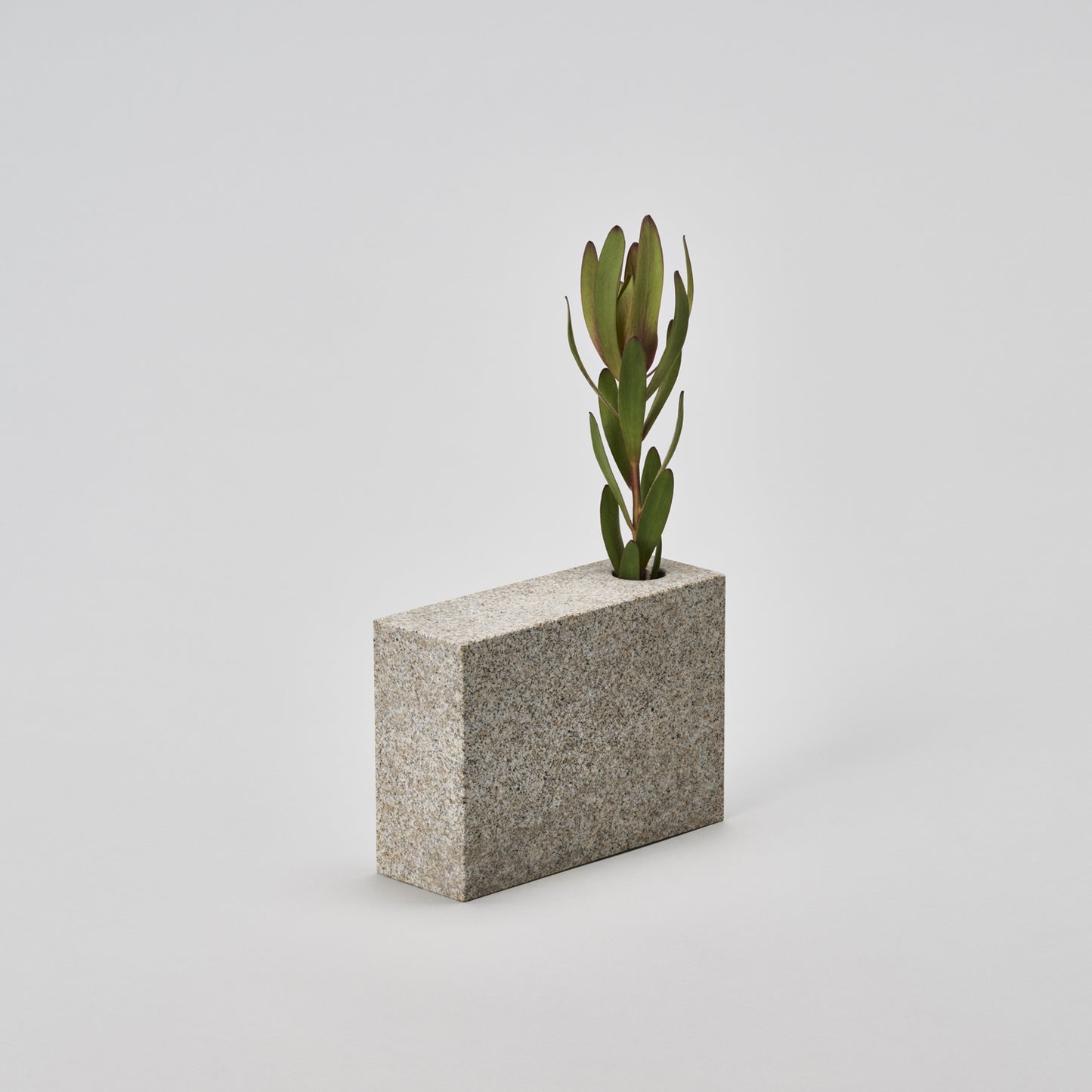SS-VASE/A/sabi