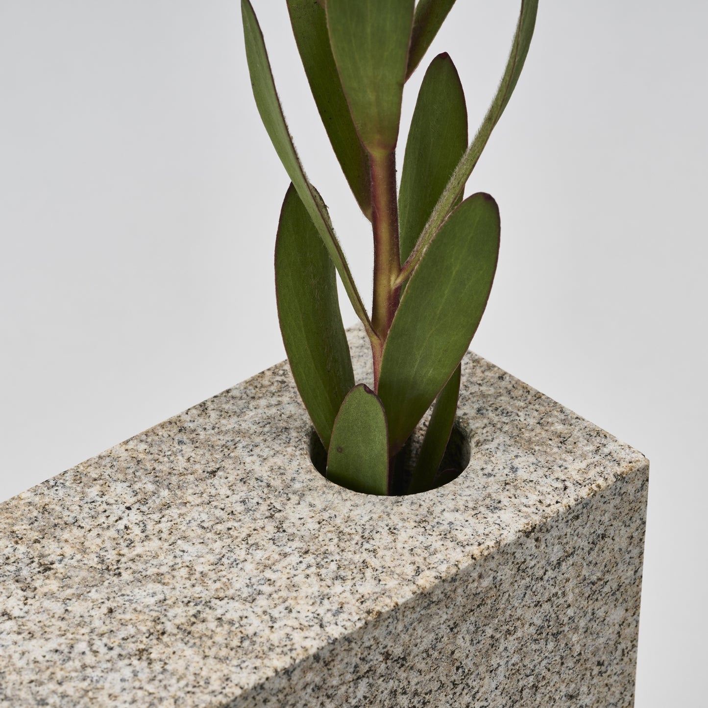 SS-VASE/A/sabi