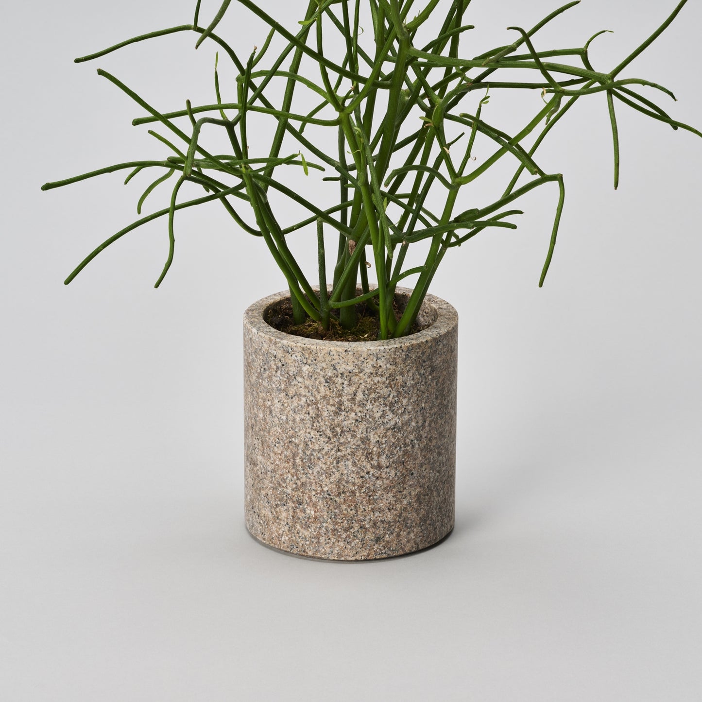 CS-STAND / 110S / sabi